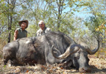 Buffalo